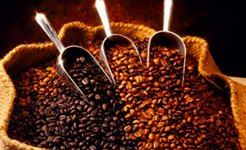 coffee-beans-types-fresh