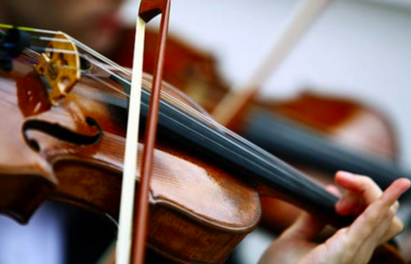 小提琴-學習-教學-新手-初學者